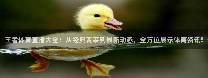 nba直播小九直播在线观看：王者体育直播大全：从经典赛事到最新动态，全方位展示体育资讯!