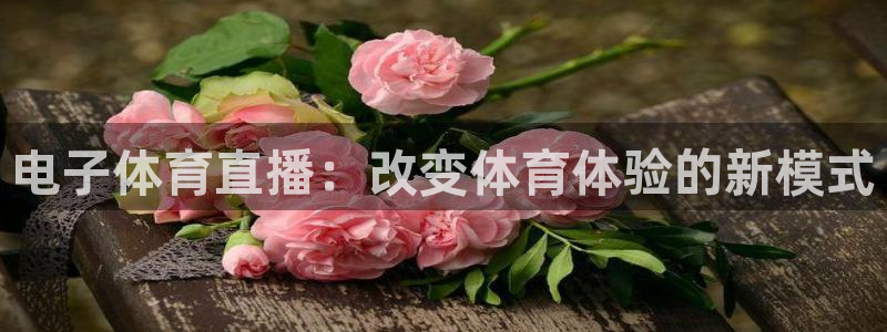 英超直播小九直播：电子体育直播：改变体育体验的新模式