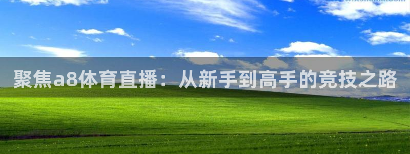 小九直播体育免费观看：聚焦a8体育直播：从新手到高手的竞技之路