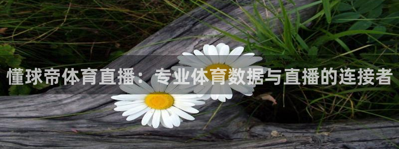 nba小九直播免费观看：懂球帝体育直播：专业体育数据与直播的连接者