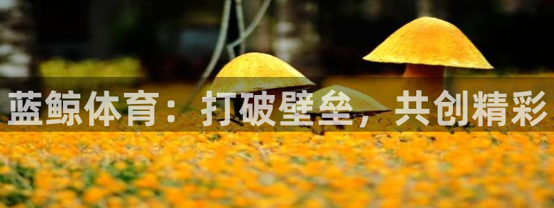 nba直播小九：蓝鲸体育：打破壁垒，共创精彩