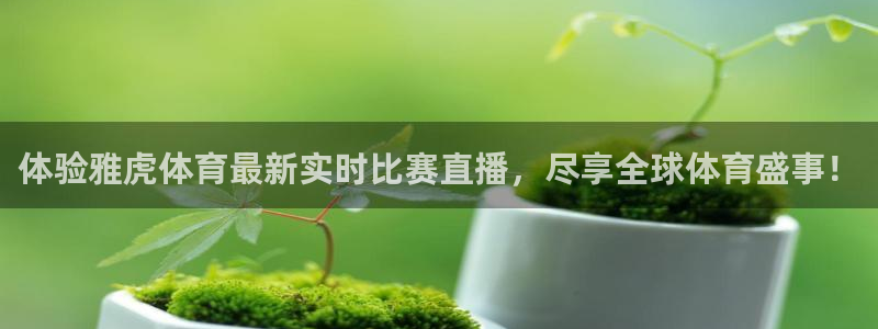 小九乐悠直播nba：体验雅虎体育最新实时比赛直播，尽享全球体育盛事！