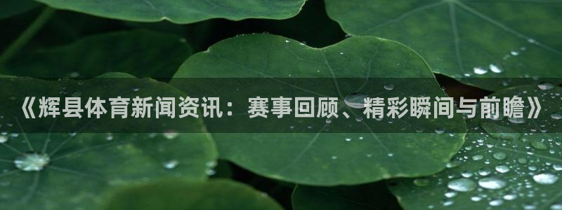 小九足球直播在线观看高清：《辉县体育新闻资讯：赛事回顾、精彩瞬间与前瞻》