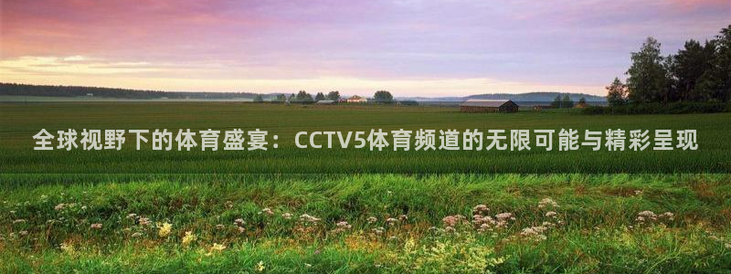 nba直播免费直播小九：全球视野下的体育盛宴：CCTV5体育频道的无限可能与精彩呈现
