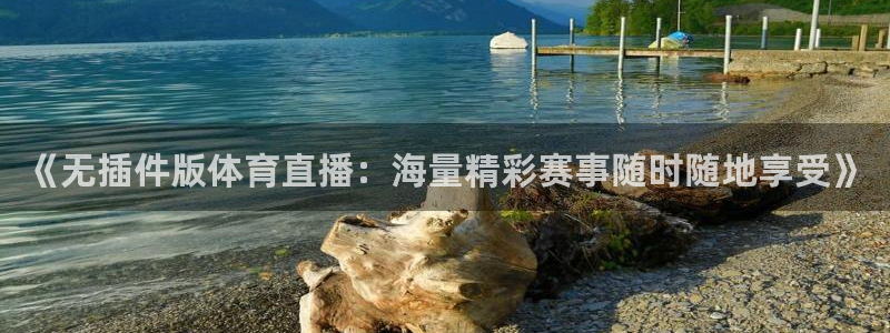 小九直播免费：《无插件版体育直播：海量精彩赛事随时随地享受》