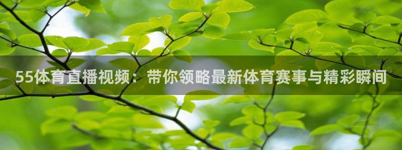 小九直播足球：55体育直播视频：带你领略最新体育赛事与精彩瞬间