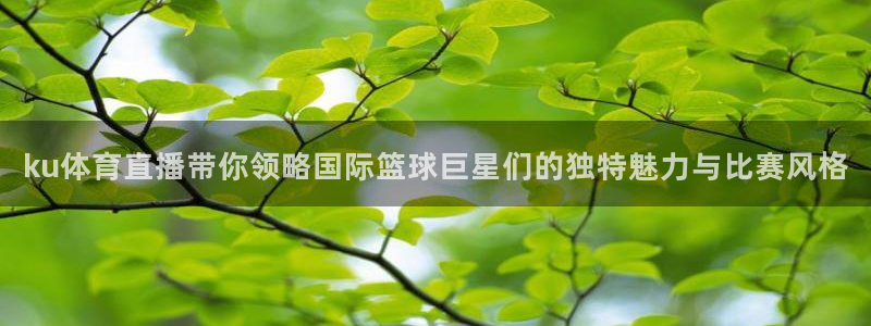 小九直播nba免费观看高清