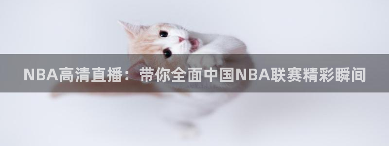 小九今天最新视频