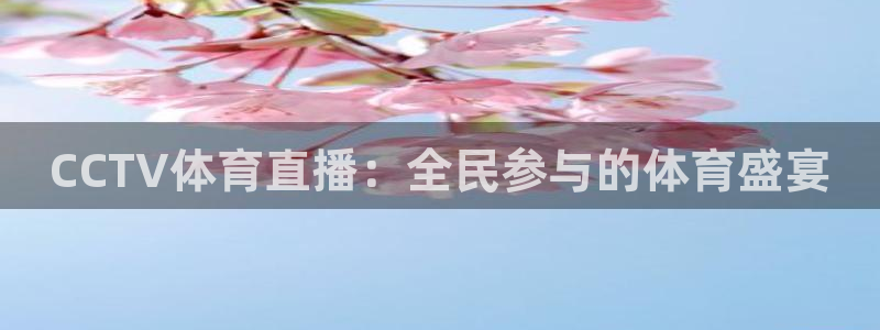 小九直播nba免费观看高清