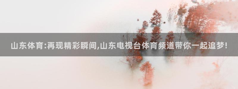 中超小九免费直播：山东体育:再现精彩瞬间,山东电视台体育频道带你一起追梦!