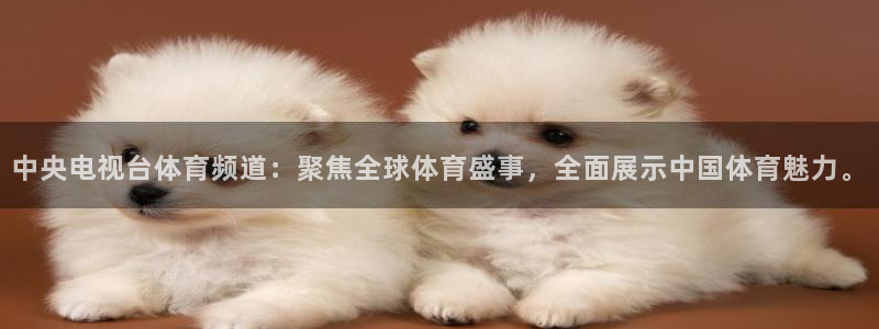 免费nba小九比赛直播高清：中央电视台体育频道：聚焦全球体育盛事，全面展示中国体育魅力。